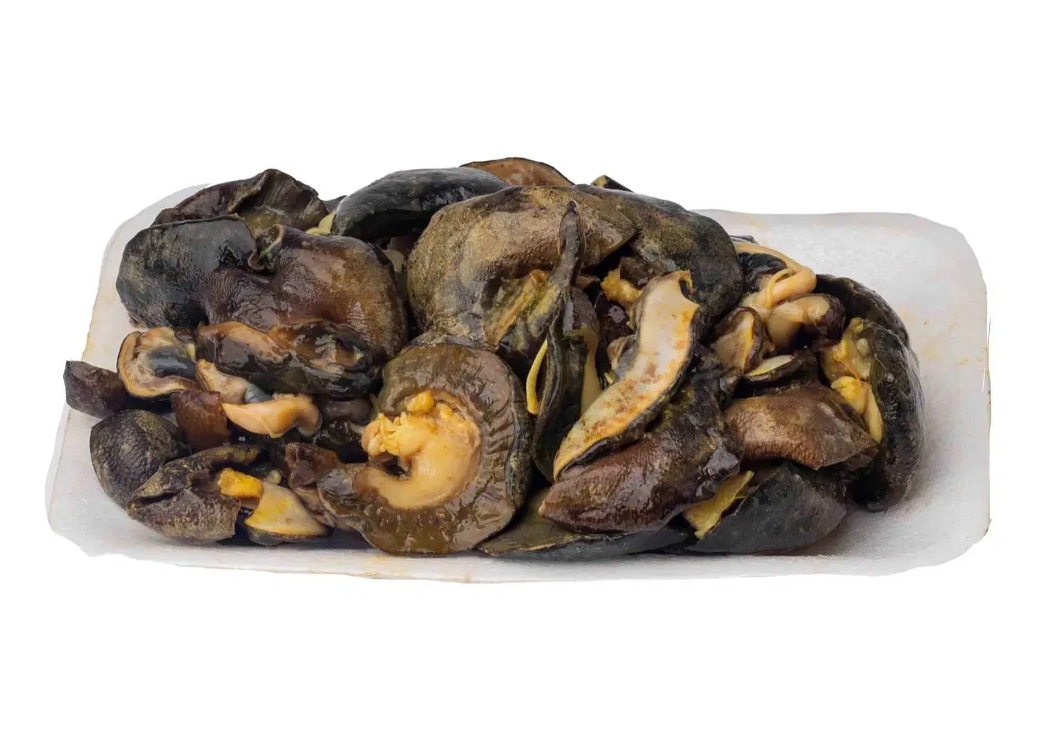 Snails (Small)