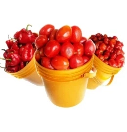 Pepper Mix( mini) Bundle