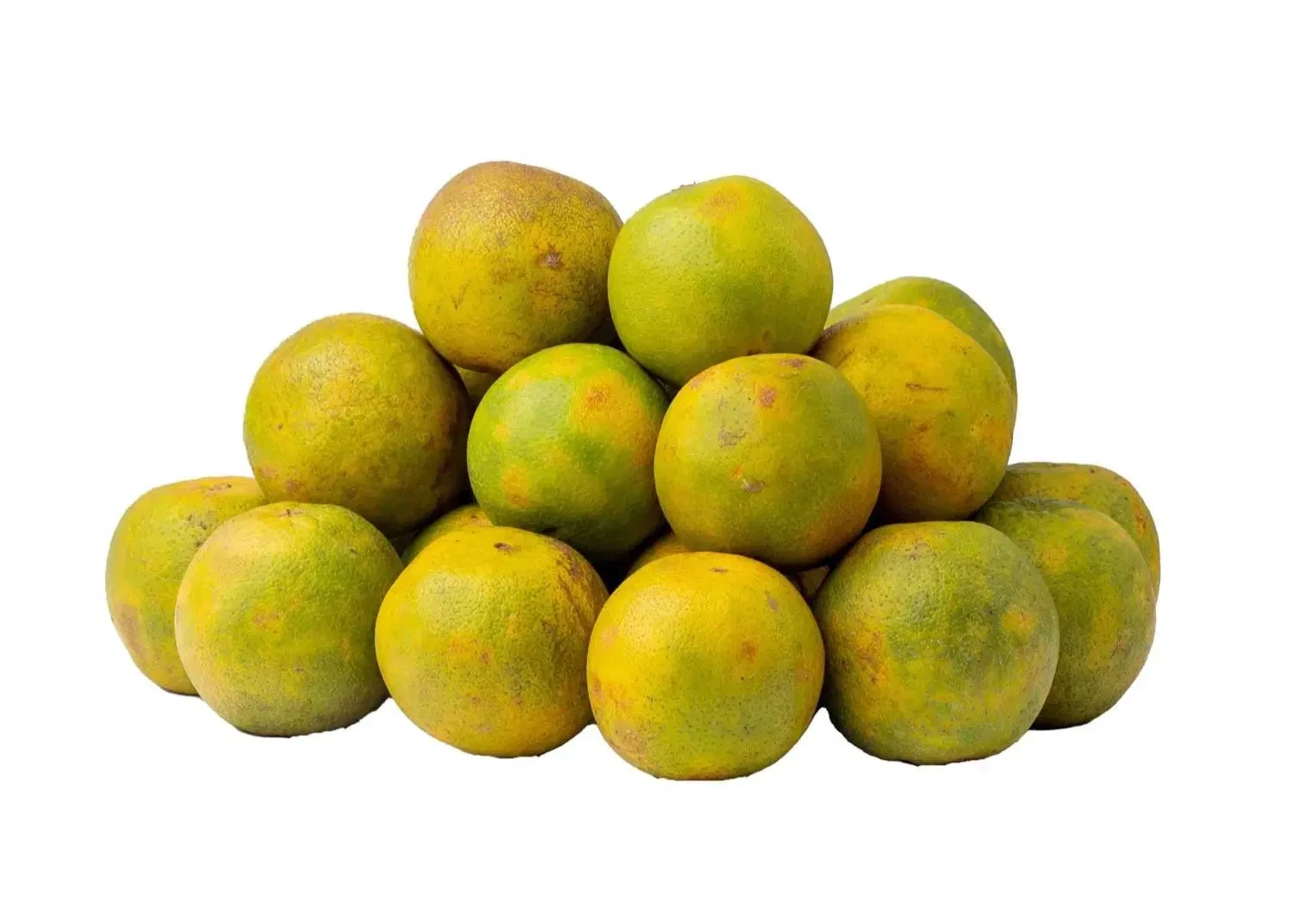 Orange - Semi-ripe (Medium)