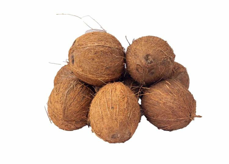 Coconut (Half Dozen)