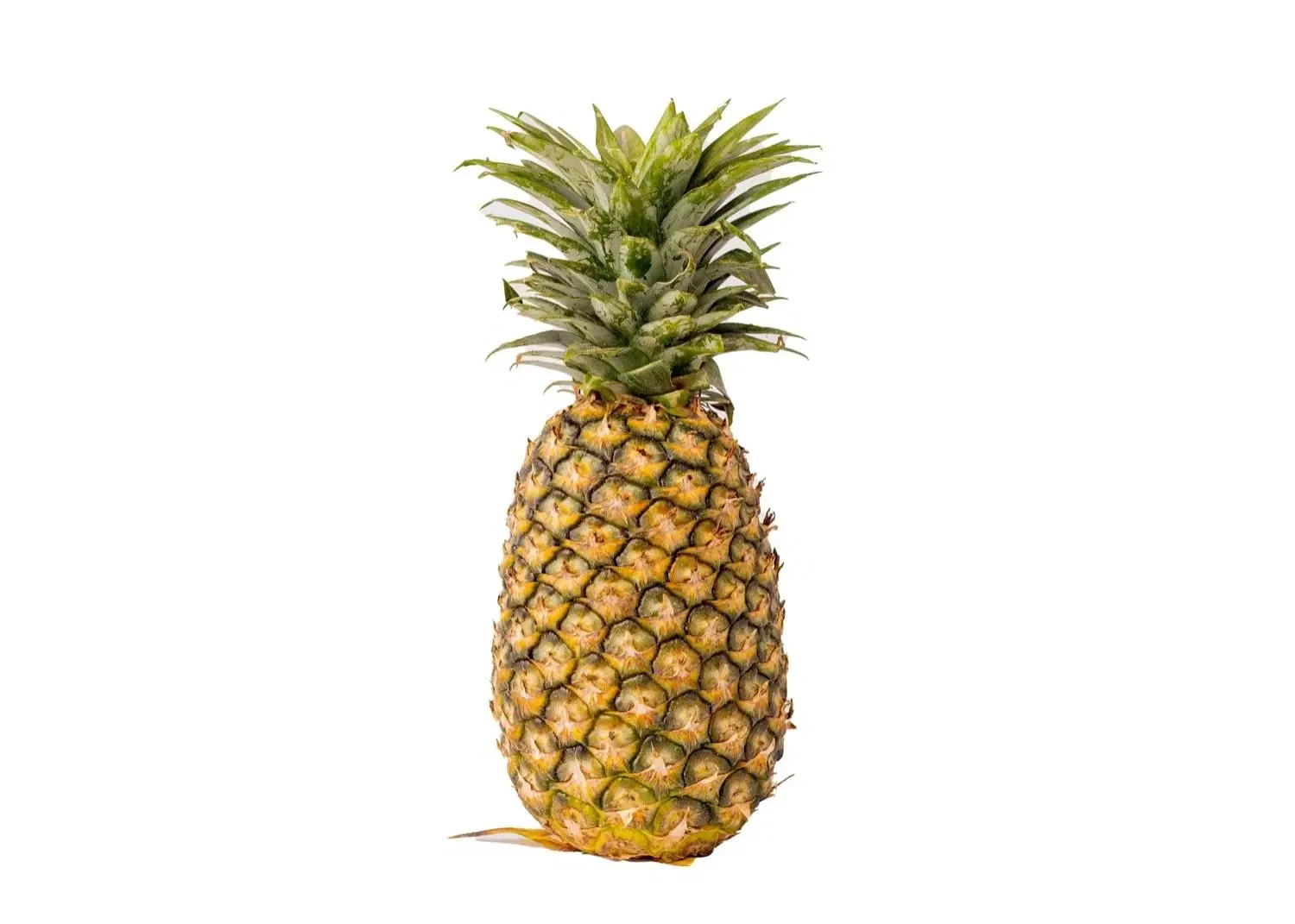 Pineapple (Semi-ripe)
