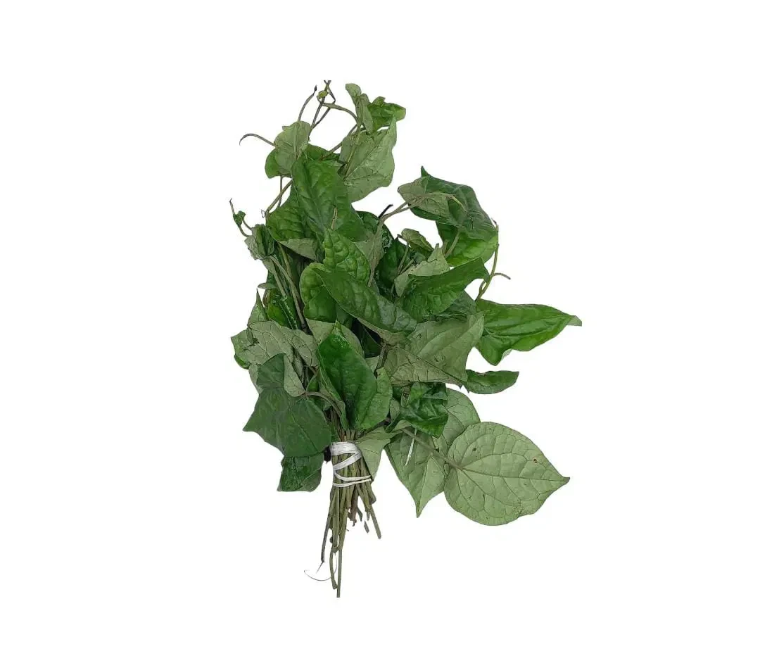Uziza Leaves