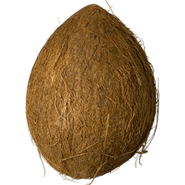Coconut - 1unit