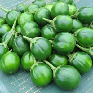 Garden Egg - Green