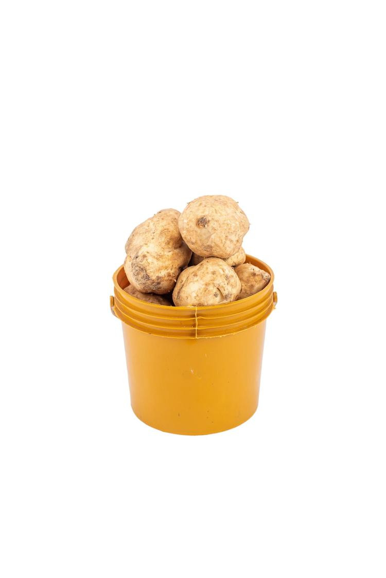 Potato - Sweet