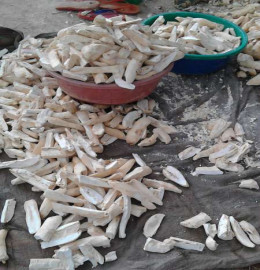 Lafun - Dried Cassava