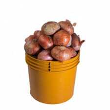 Onions - Half Paint