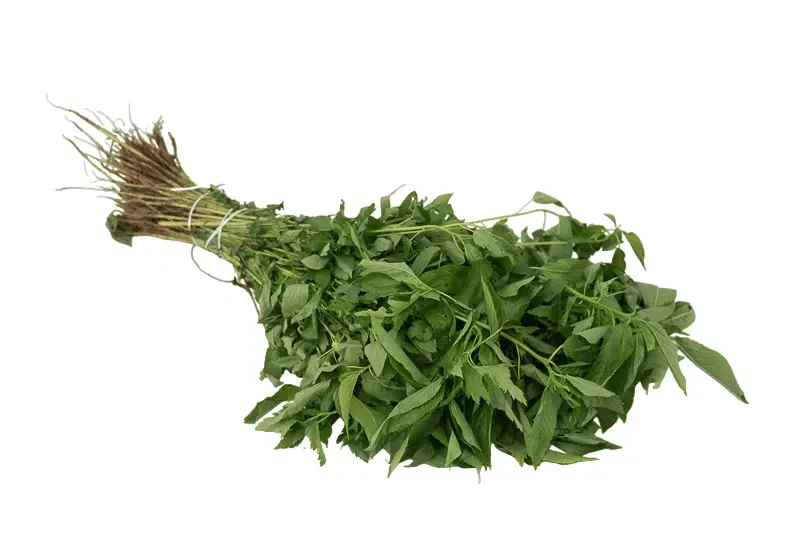 Ewedu Leaf