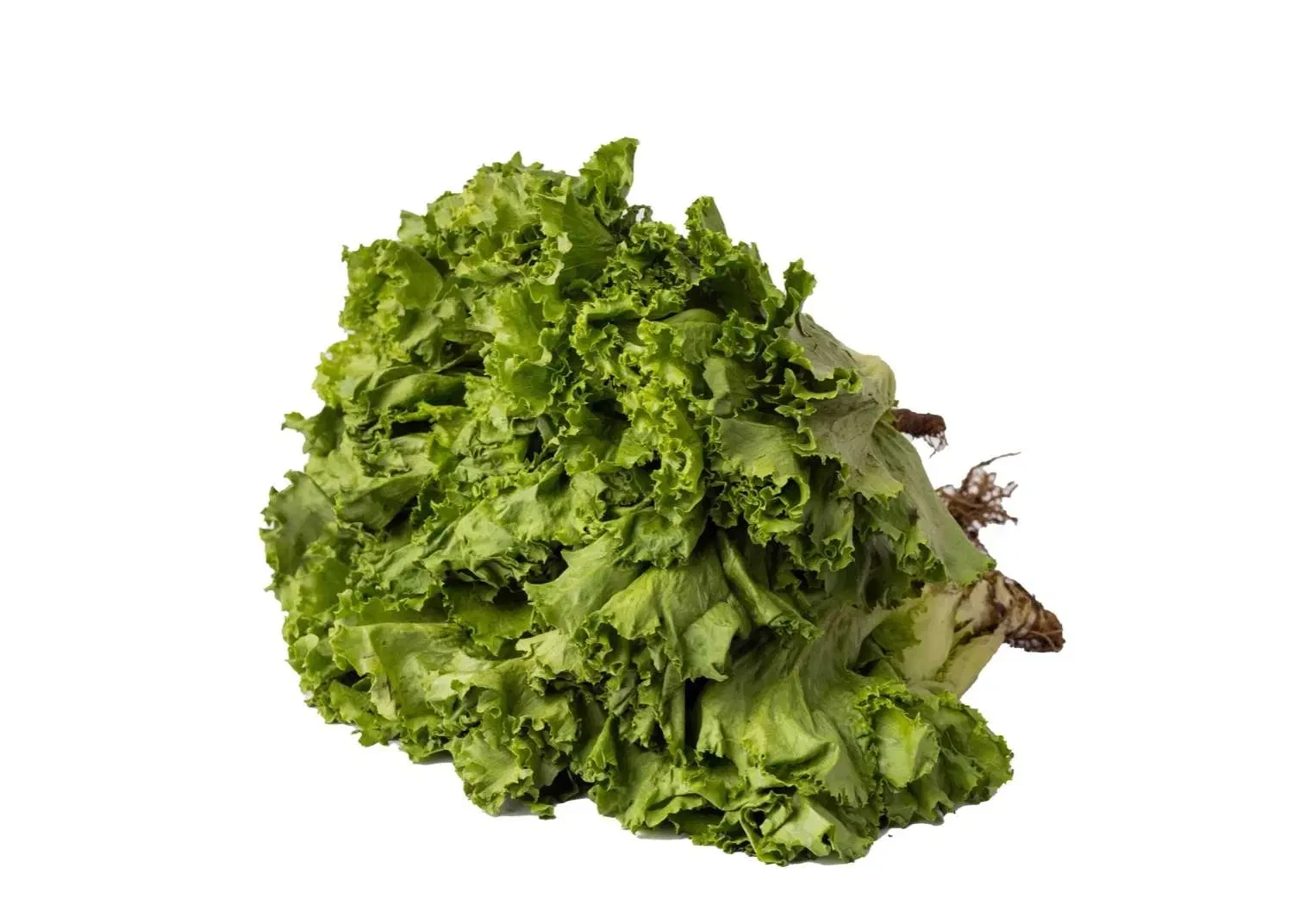Lettuce