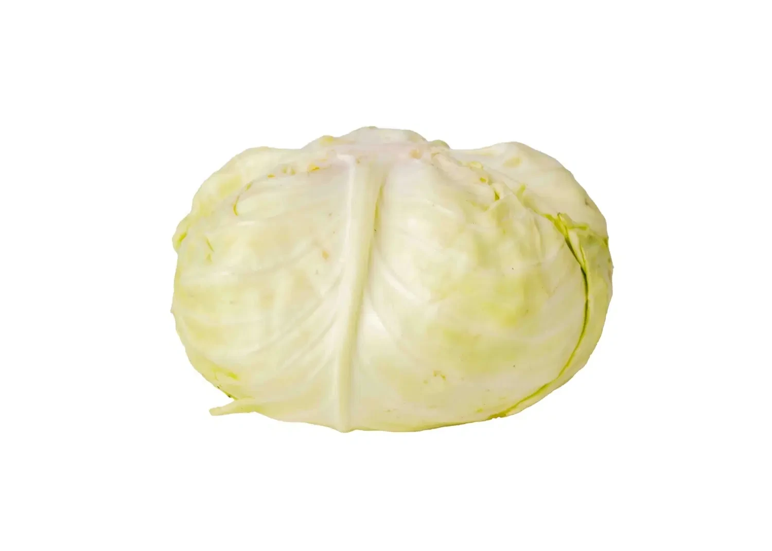 Cabbage (Jos) - Peeled