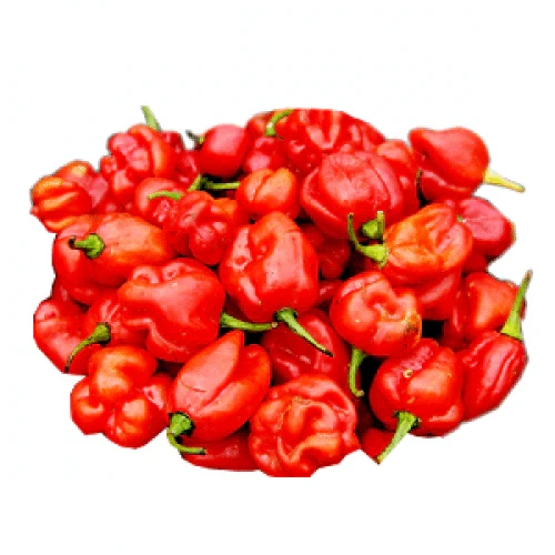 Ata Rodo (Red Pepper) - 500g