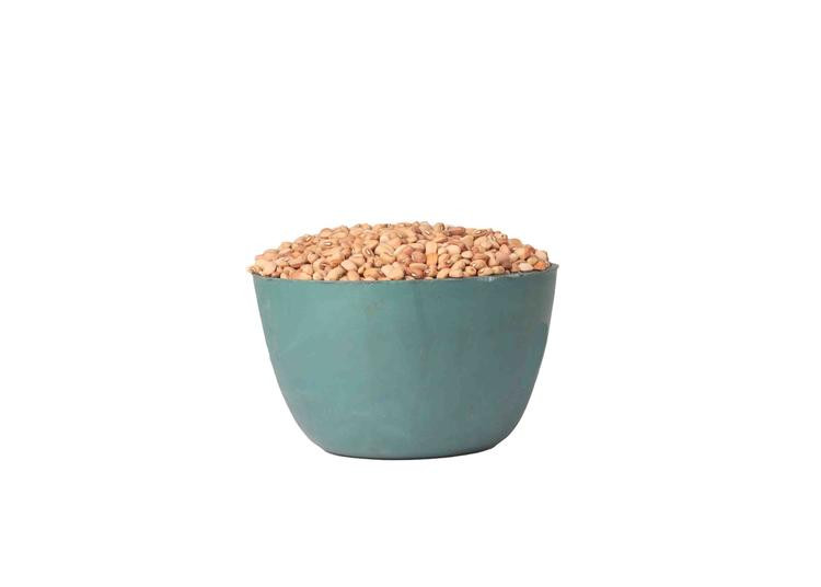 Beans - Drum