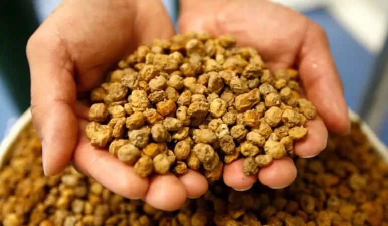 Tiger Nuts
