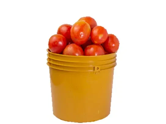 Tomato - 1 Paint Bucket
