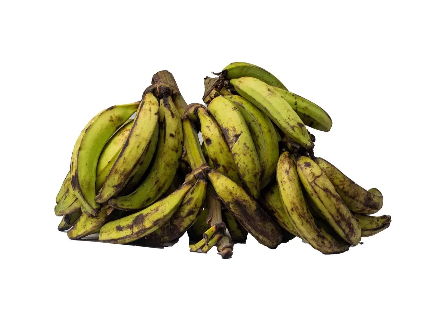 Plantain - Unripe (Medium)