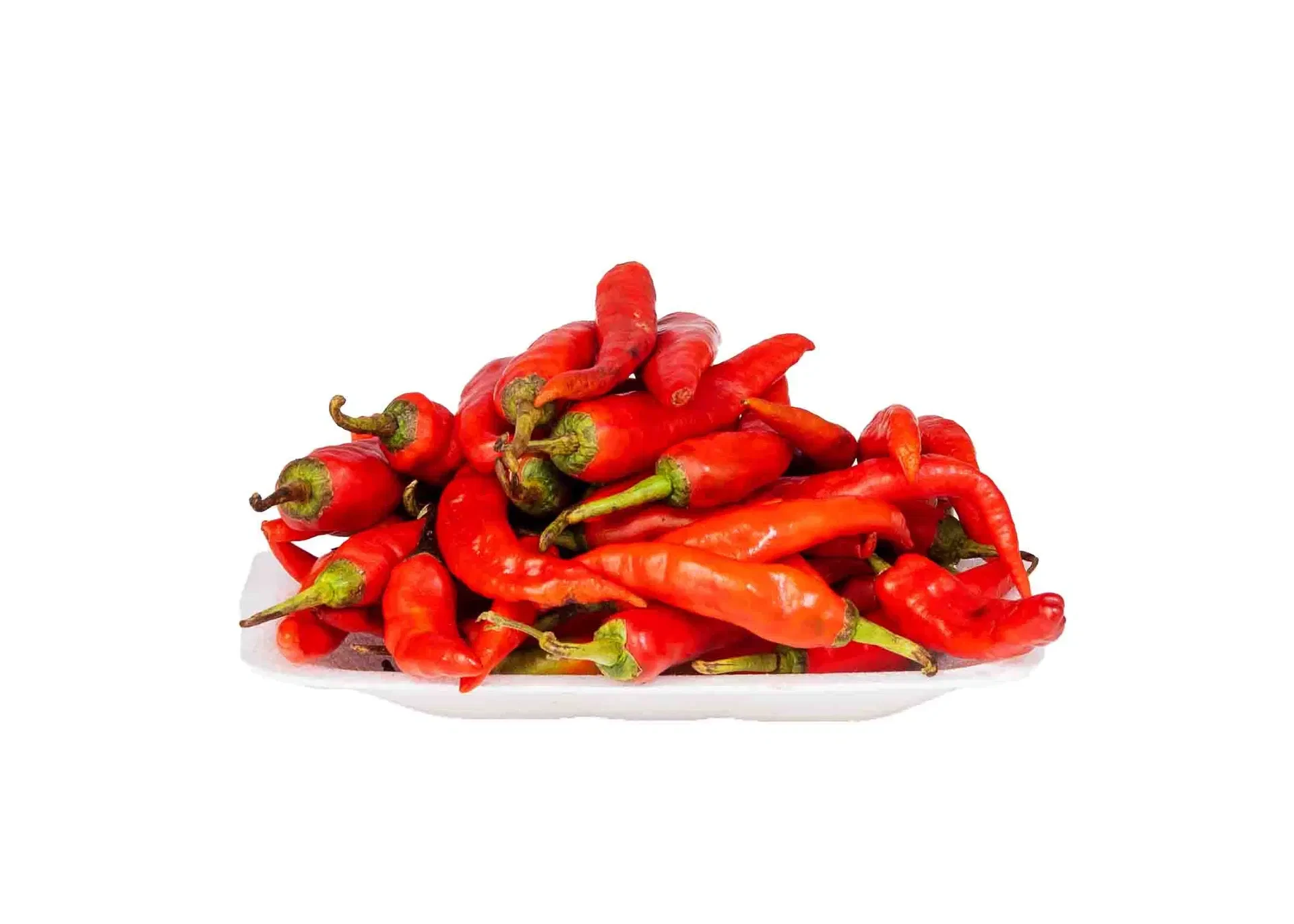 Pepper - Sombo (Half Paint)